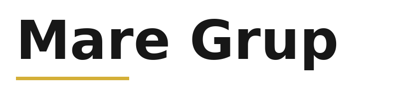 Mare Grup logo